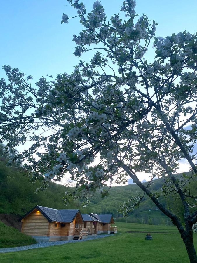 Wooden Corner Apartment Kolašin Екстериор снимка