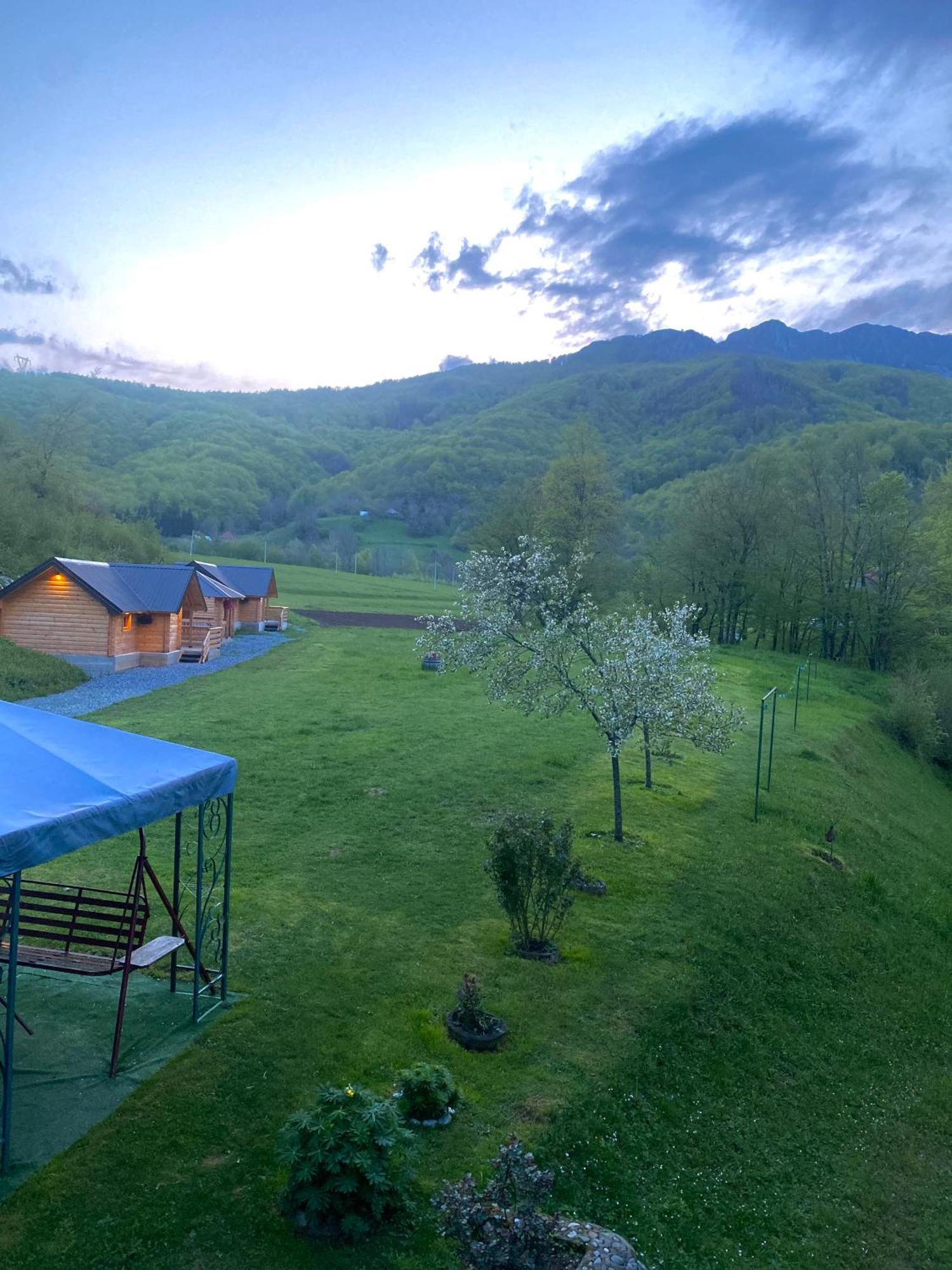 Wooden Corner Apartment Kolašin Екстериор снимка