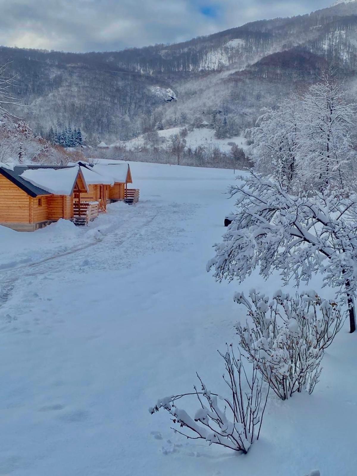 Wooden Corner Apartment Kolašin Екстериор снимка