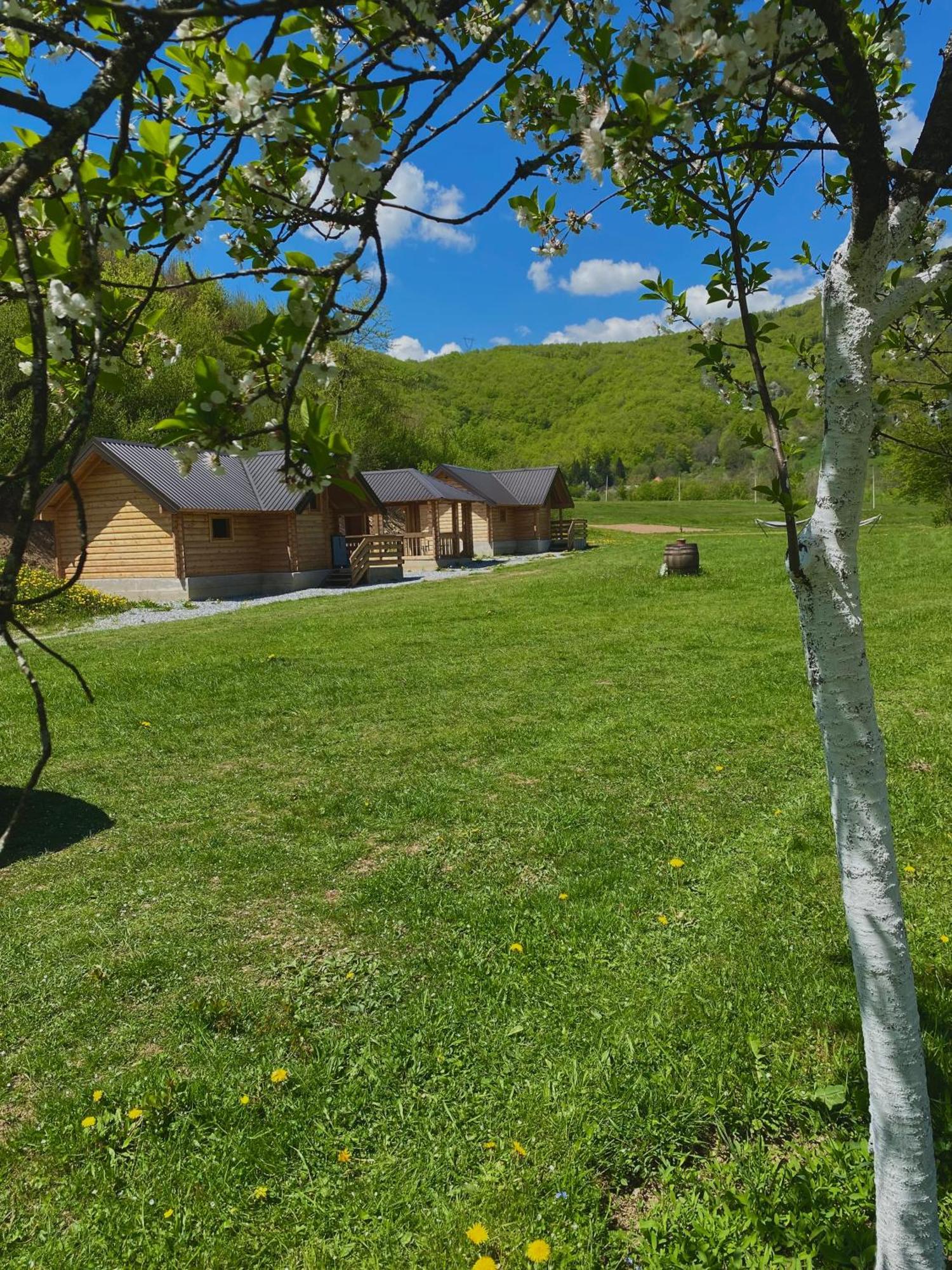 Wooden Corner Apartment Kolašin Екстериор снимка
